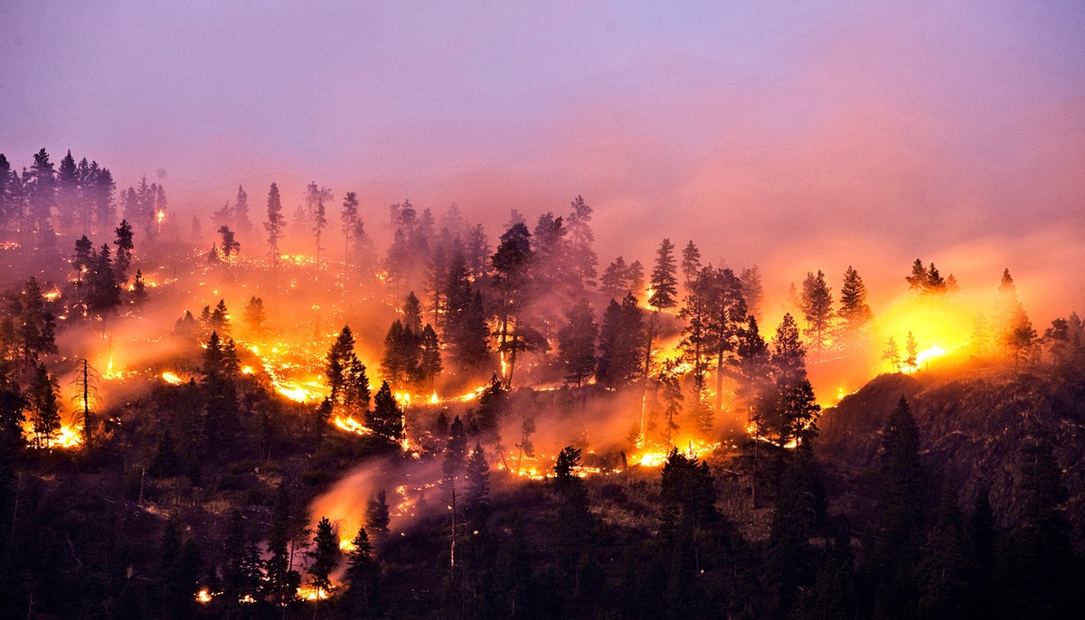 wildfire on mountain 1600